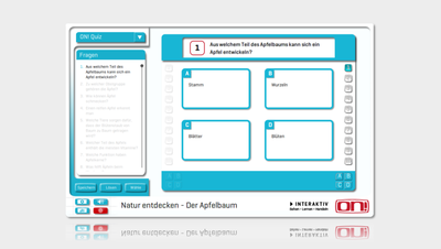 Interaktives Quiz